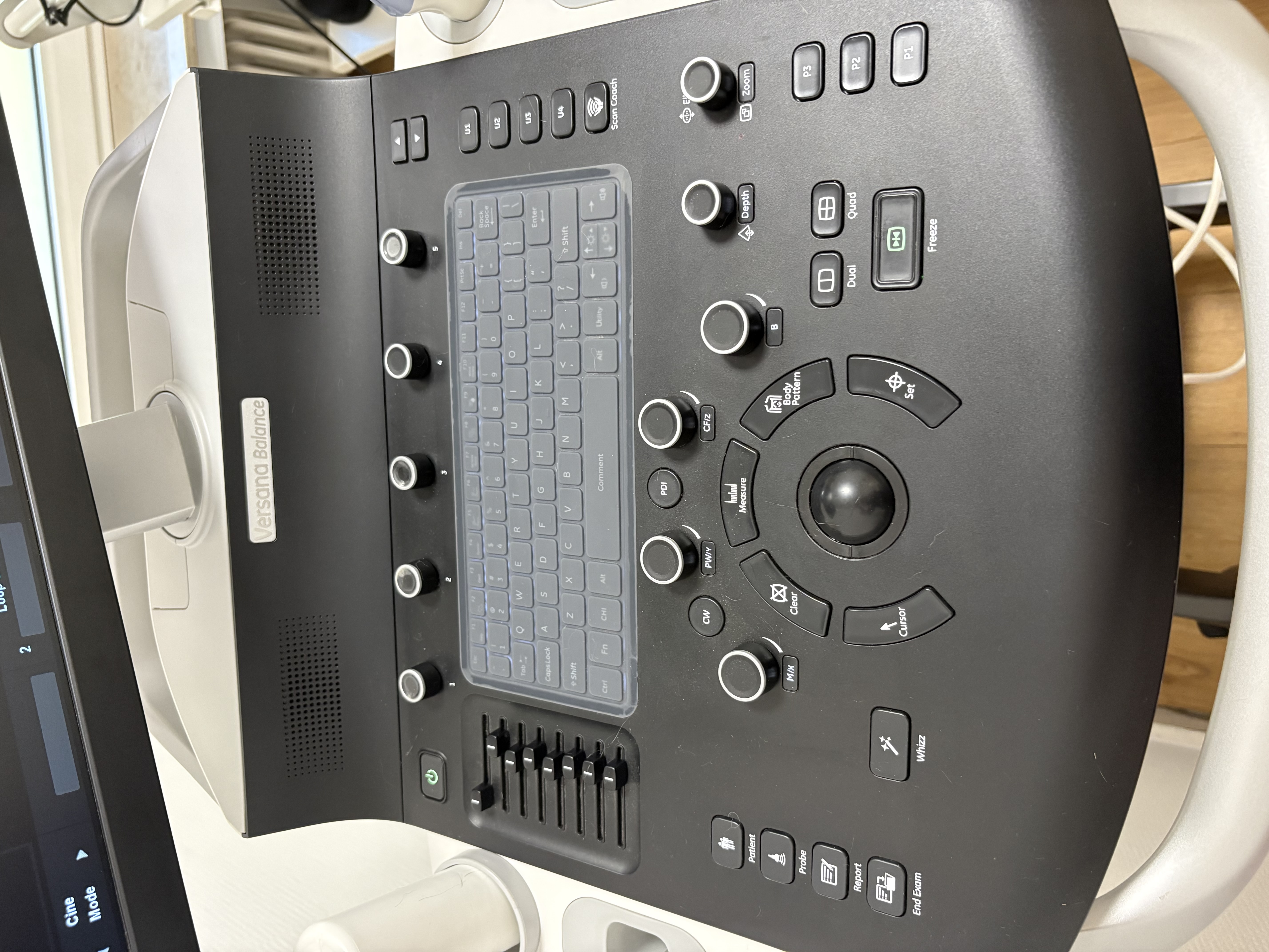 GE Versana Balance VA Veterinär-Ultraschallsystem – Baujahr 2020 inkl. 12L-RS & 8C-RS Sonden