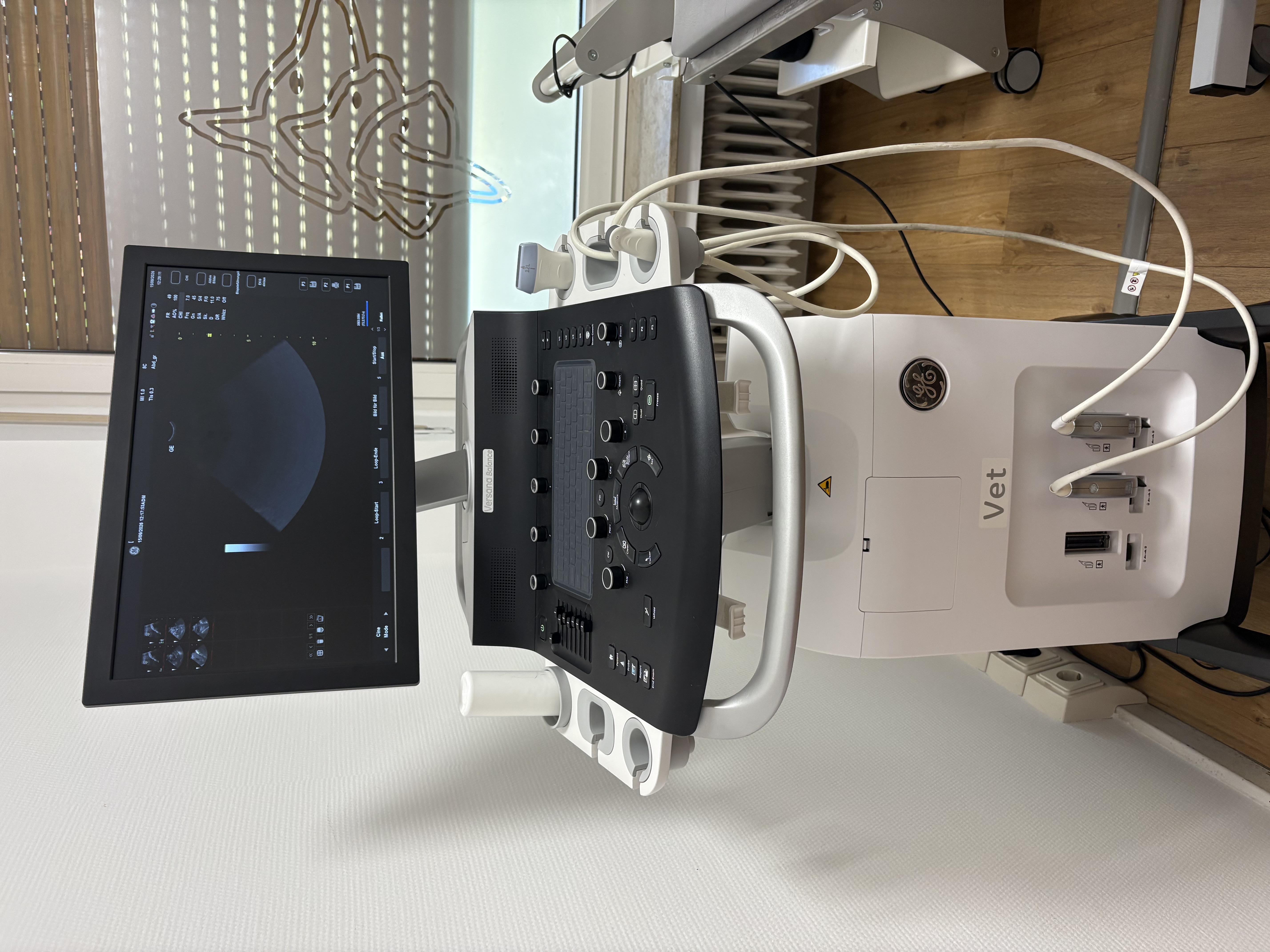 GE Versana Balance VA Veterinär-Ultraschallsystem – Baujahr 2020 inkl. 12L-RS & 8C-RS Sonden